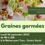 Graines germées