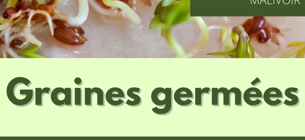 01-Graines germées