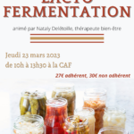 Le bien-être dans l'assiette : lacto fermentation
