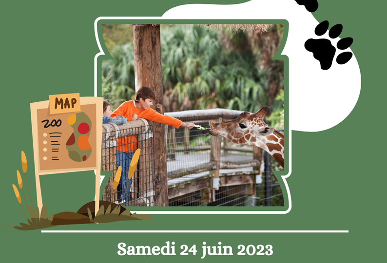 So11-Zoo safari de Thoiry