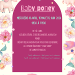 Baby poney
