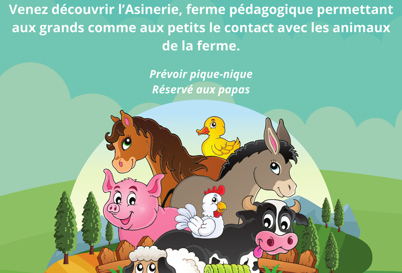 07-asinerie du marquenterre