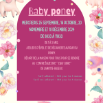 Baby poney