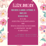 Baby poney