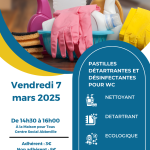 Création de pastilles détartrantes et désinfectantes pour WC