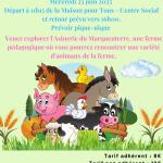 Rencontre avec les animaux de l'Asinerie du Marquenterre