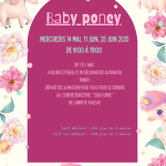 Baby poney
