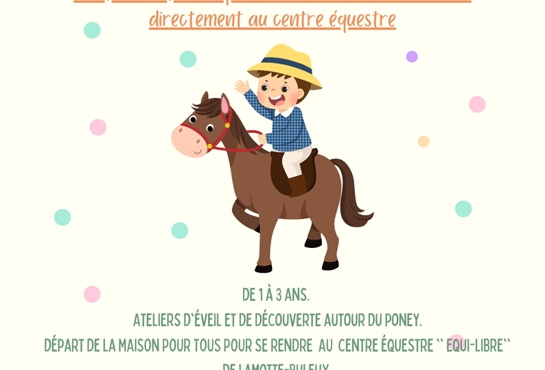 01-Baby poney