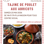 Cuisine du monde : tajine de poulet aux abricots