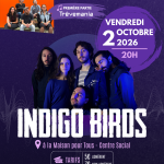 Concert : Indigo Birds + Trêvemania en première partie
