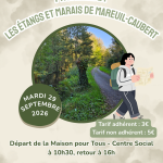 Promenade : les étangs et marais de Mareuil-Caubert